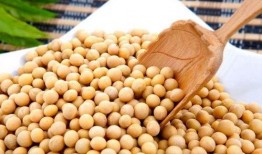 小黄豆事件的最新爆料,最新爆料揭露惊人内幕