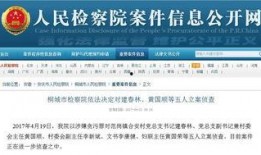 桐城网红爆料案件最新情况,案情反转，疑点重重揭晓