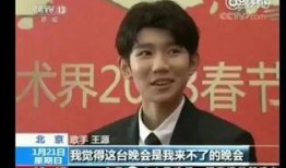 王源娱乐圈最新爆料新闻,娱乐圈再掀波澜