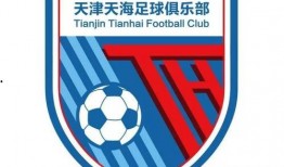 天津天海队爆料最新消息,揭秘球队备战新赛季幕后故事