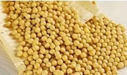 小黄豆事件的最新爆料,最新爆料揭露惊人内幕